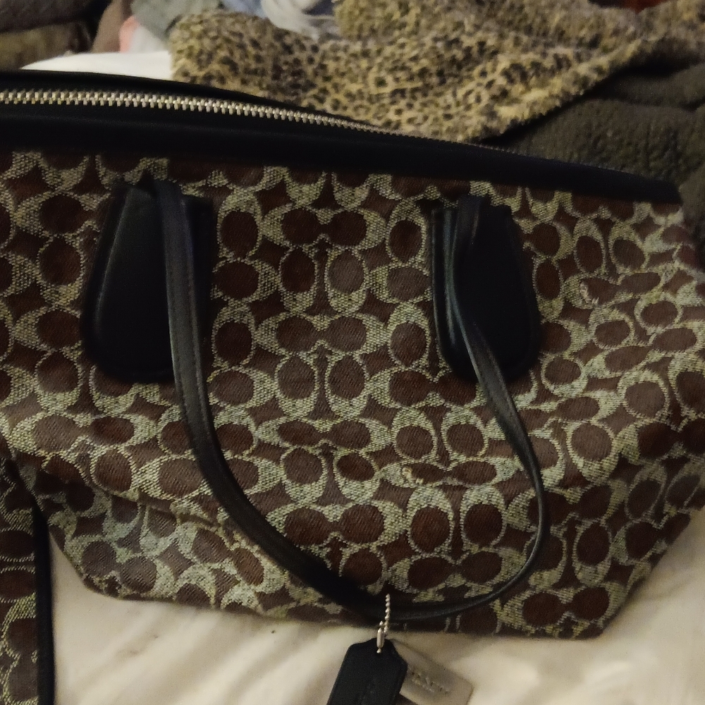 COACH F33504
